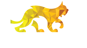 MASTER LYNX LTD